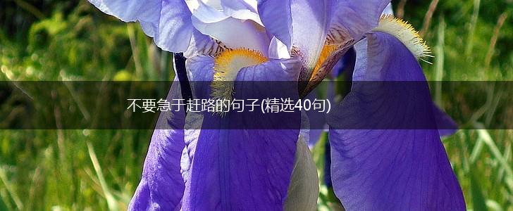 不要急于赶路的句子(精选40句),第1张