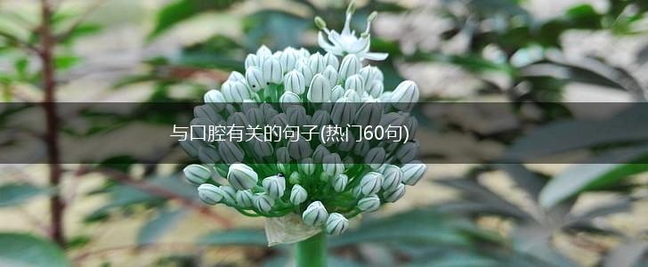 与口腔有关的句子(热门60句),第1张