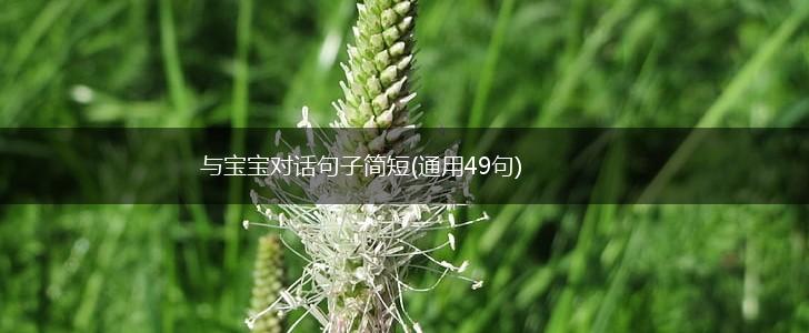 与宝宝对话句子简短(通用49句),第1张