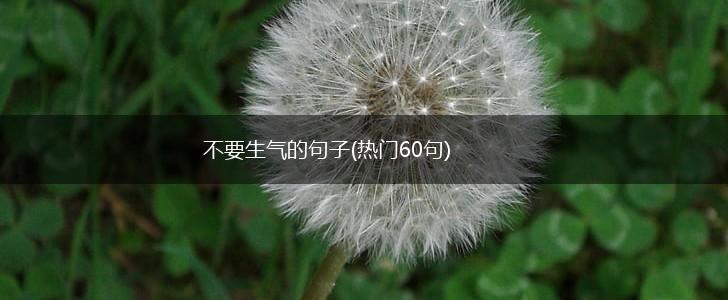 不要生气的句子(热门60句),第1张