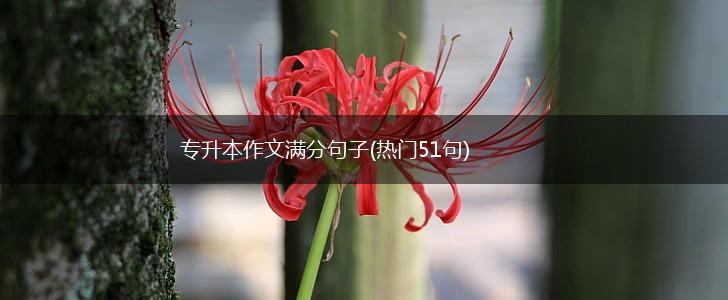 专升本作文满分句子(热门51句),第1张