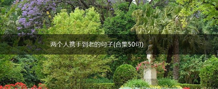 两个人携手到老的句子(合集50句),第1张