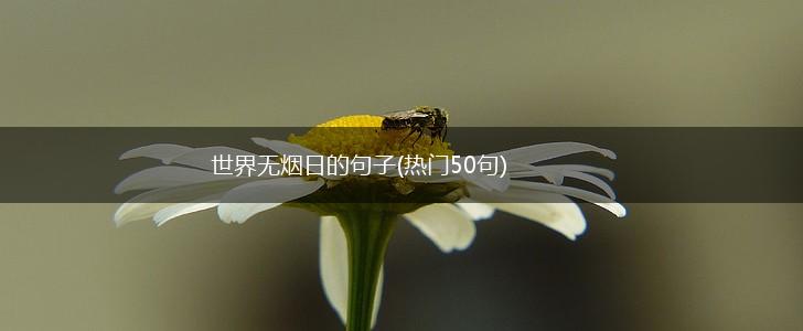 世界无烟日的句子(热门50句),第1张