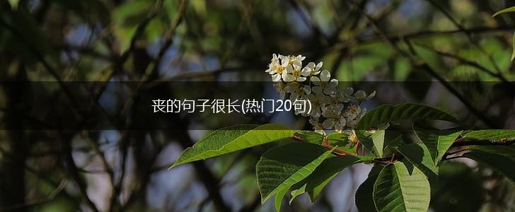 丧的句子很长(热门20句),第1张