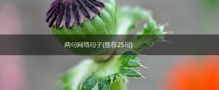两句网络句子(推荐25句),第1张