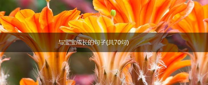与宝宝成长的句子(共70句),第1张