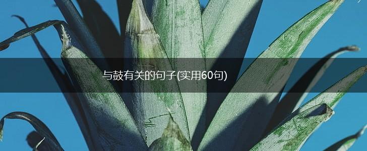 与鼓有关的句子(实用60句),第1张