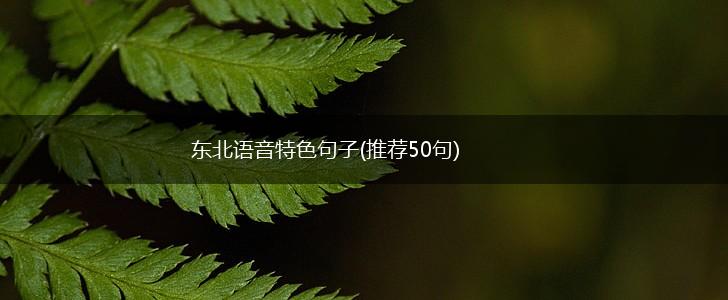 东北语音特色句子(推荐50句),第1张