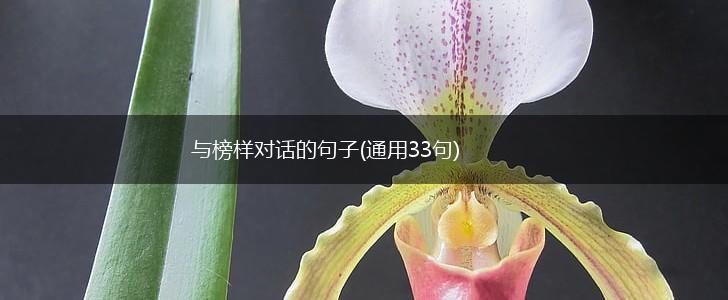 与榜样对话的句子(通用33句),第1张