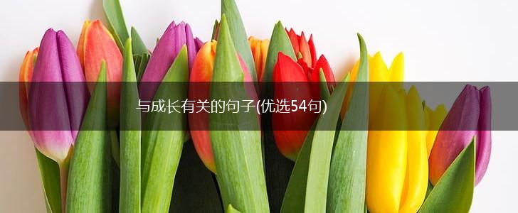 与成长有关的句子(优选54句),第1张