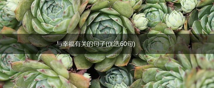 与幸福有关的句子(优选60句),第1张