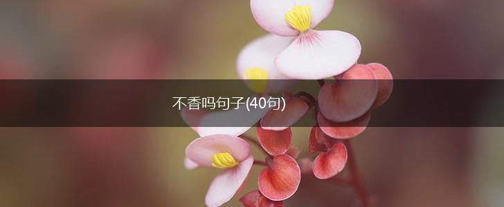 不香吗句子(40句),第1张