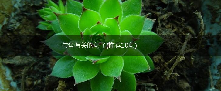 与鱼有关的句子(推荐10句),第1张