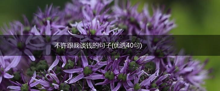 不许跟我谈钱的句子(优选40句),第1张