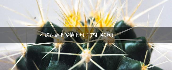 不被祝福的爱情的句子(热门40句),第1张