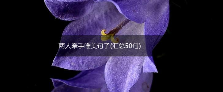 两人牵手唯美句子(汇总50句),第1张