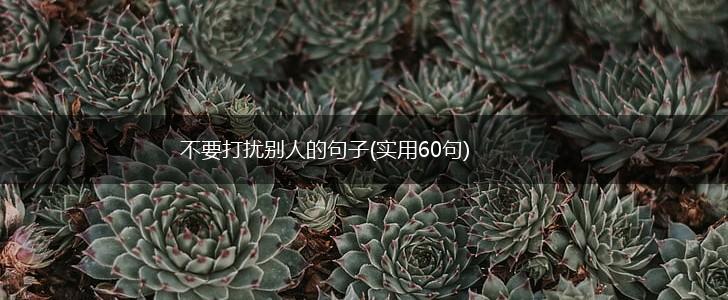 不要打扰别人的句子(实用60句),第1张