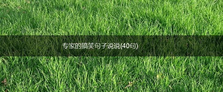 专家的搞笑句子说说(40句),第1张