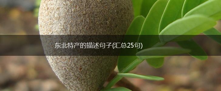 东北特产的描述句子(汇总25句),第1张