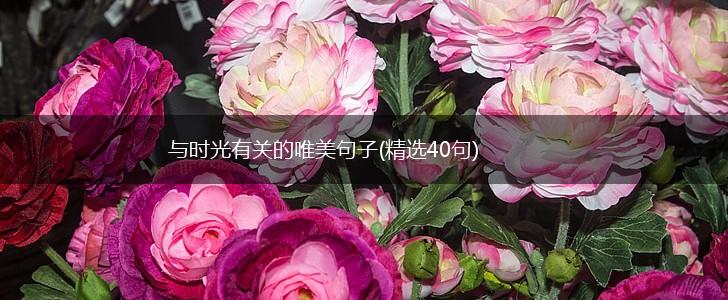 与时光有关的唯美句子(精选40句),第1张