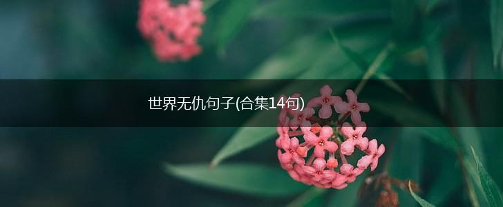 世界无仇句子(合集14句),第1张