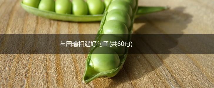 与周瑜相遇好句子(共60句),第1张