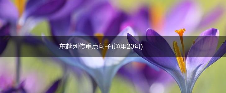 东越列传重点句子(通用20句),第1张