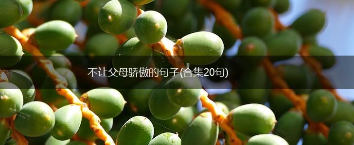 不让父母骄傲的句子(合集20句),第1张