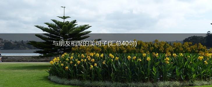 与朋友相聚的美句子(汇总40句),第1张