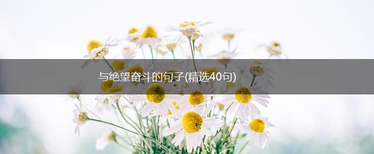 与绝望奋斗的句子(精选40句),第1张