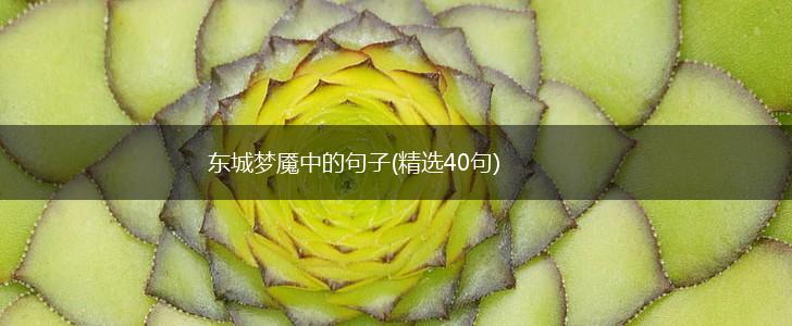 东城梦魇中的句子(精选40句),第1张