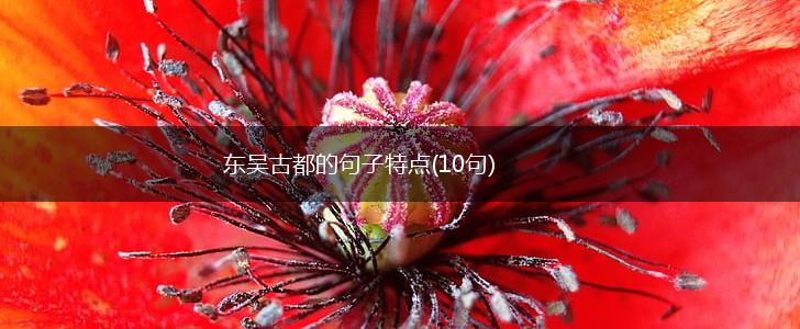 东吴古都的句子特点(10句),第1张
