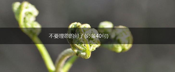 不要埋怨的句子(必备40句),第1张
