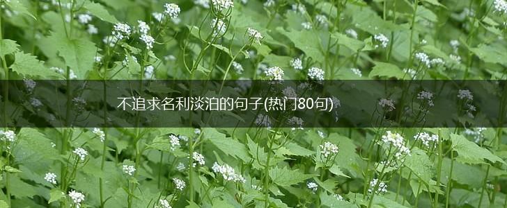 不追求名利淡泊的句子(热门80句),第1张