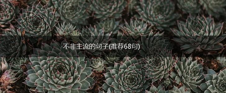 不非主流的句子(推荐68句),第1张