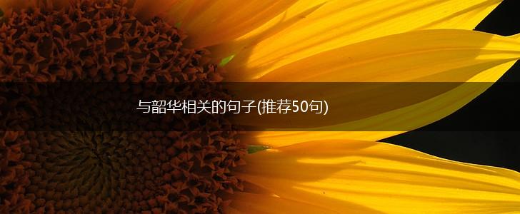 与韶华相关的句子(推荐50句),第1张
