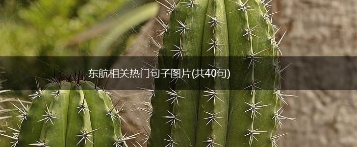 东航相关热门句子图片(共40句),第1张