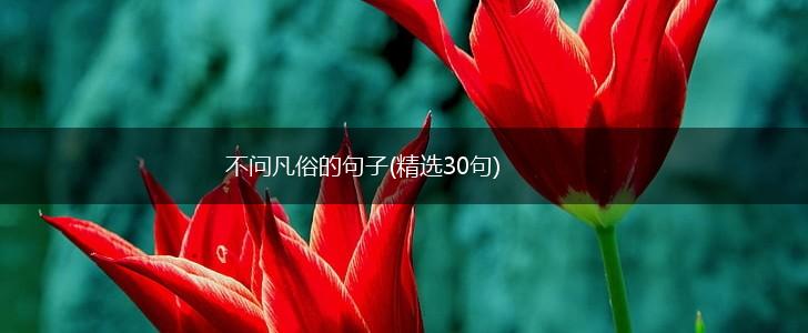 不问凡俗的句子(精选30句),第1张