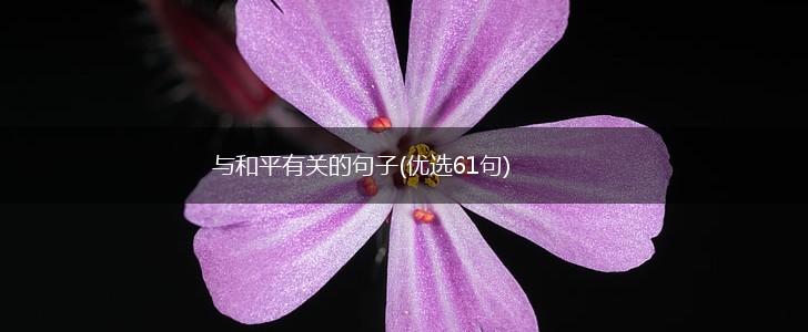 与和平有关的句子(优选61句),第1张