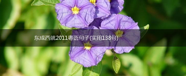 东成西就2011粤语句子(实用138句),第1张