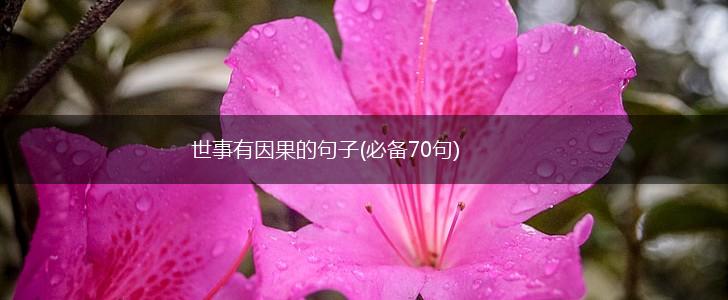 世事有因果的句子(必备70句),第1张