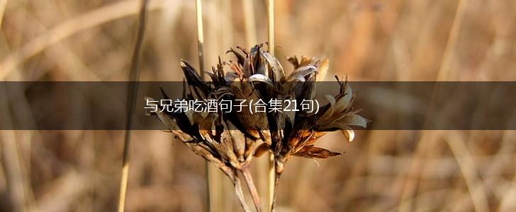 与兄弟吃酒句子(合集21句),第1张