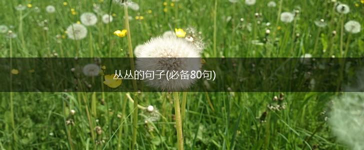丛丛的句子(必备80句),第1张