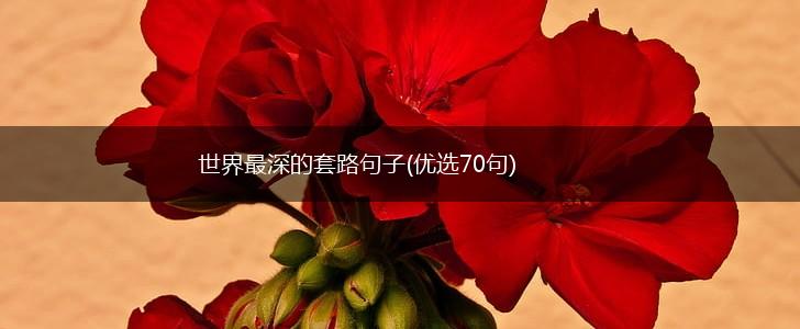 世界最深的套路句子(优选70句),第1张