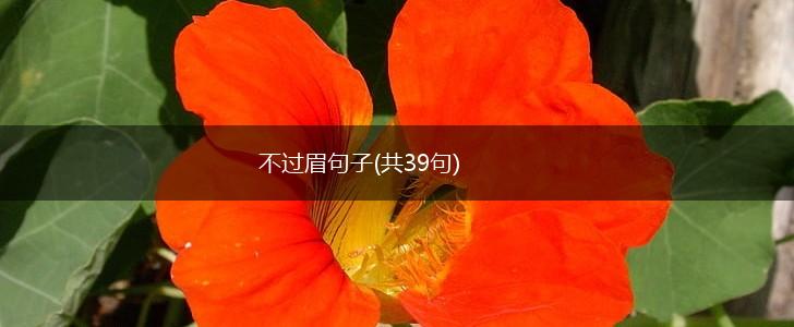 不过眉句子(共39句),第1张