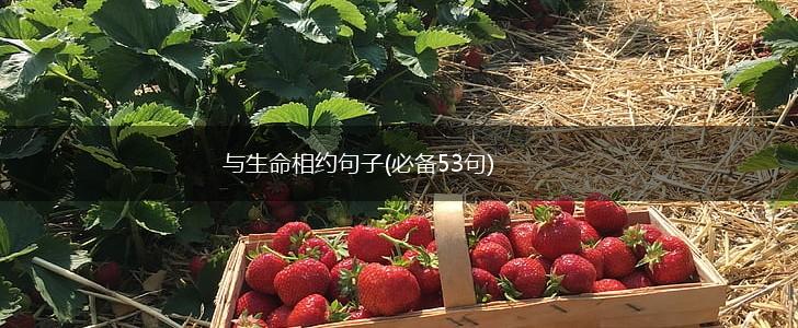 与生命相约句子(必备53句),第1张