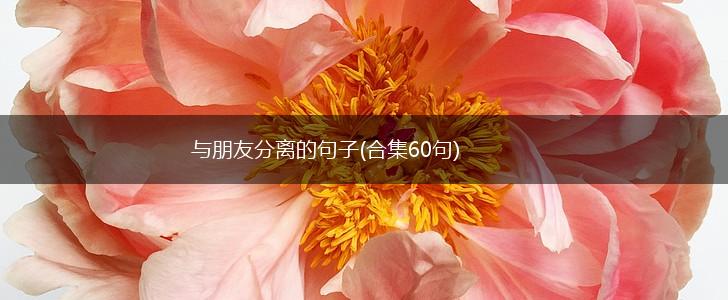 与朋友分离的句子(合集60句),第1张