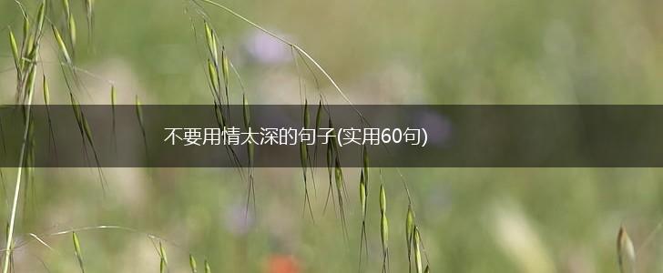不要用情太深的句子(实用60句),第1张