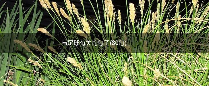 与足球有关的句子(80句),第1张