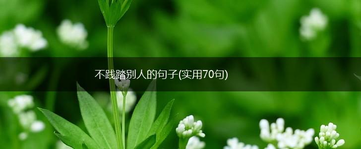 不践踏别人的句子(实用70句),第1张
